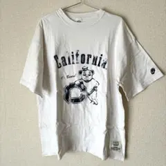 Item thumbnail for item df373ecb-9f8c-480d-8423-88cb545eeb39