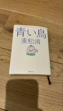 Item thumbnail for item 5850f48b-e272-480c-a86d-ceed8d3a11b4