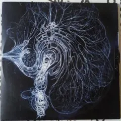 2025年最新】bola soupの人気アイテム - メルカリ