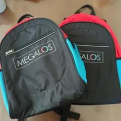 Item thumbnail for item 4336637e-b054-4fb8-904e-a957e40d7f5b