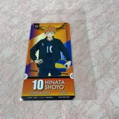 ハイキュー 日向翔陽