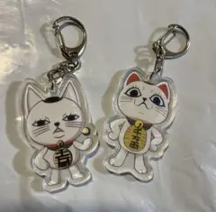 Item thumbnail for item 50edc8c0-9e6b-409d-88d6-9bf0a4abae53