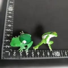 アマガエル　カエル フィギュア 2体セット ミニチュア