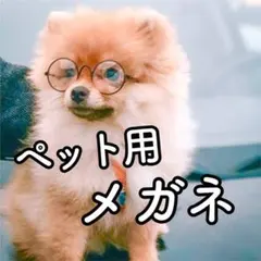 Item thumbnail for item b31bfdf0-41e5-4b1f-a616-a989b316b89b