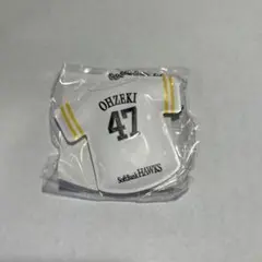 大関友久 ソフトキーチェーン 福岡ソフトバンクホークス