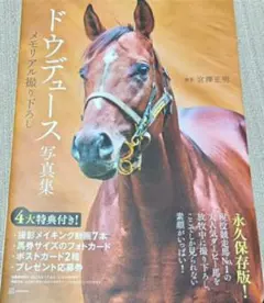 2025年最新】ドウデュース ポスターの人気アイテム - メルカリ