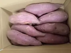 茨城県産紅はるかLサイズ程度10kg