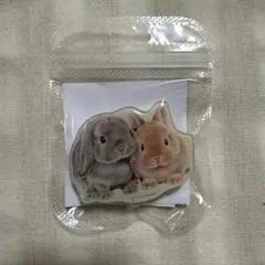 2026年最新】しらとあきこの人気アイテム - メルカリ