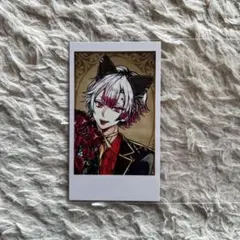 アモン・リード　インスタントフォト風カードコレクション