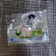 ミ*ル様 村野さやか 缶バッジ 12点セット「今、過去、未来の三原色」衣装 ミ*ル様 村野さやか 缶バッジ 12点セット「今、過去、未来の三原色
