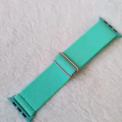 アップルウォッチ バンド AppleWatchUltra バンド ライトグリーン