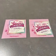 【未開封】ミニーファンダーランド 卒業しない旅行 ステッカー 2枚セット