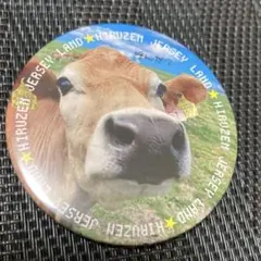 Item thumbnail for item c2d6a09a-8659-4da8-99cb-9e4bdf7244b1