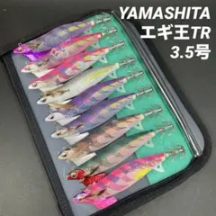 2026年最新】#エギ王TR廃盤カラーの人気アイテム - メルカリ
