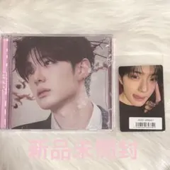 ALD1 jewel case サンヒョン 特典 トレカ ソニミュ 新品未開封