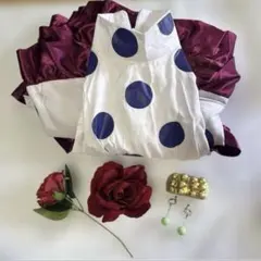 ONEPIECE ヴィオラ　コスプレ　フルセットのサムネイル