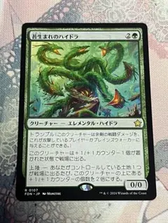 苔生まれのハイドラ 日語 1枚 - メルカリ