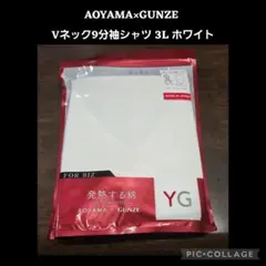 AOYAMA×GUNZE Vネック9分袖シャツ 3L ホワイト