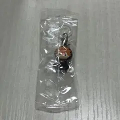 ハイキュー‼︎ めじるしアクセサリー　日向翔陽