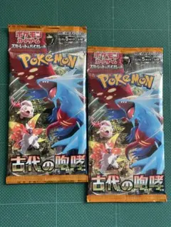 たぶんノーマルのパックですセット