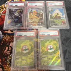 サ*ヤ様 オークション売り切り‼️ ポケカ ナタネSAR PSA10 5枚まとめ
