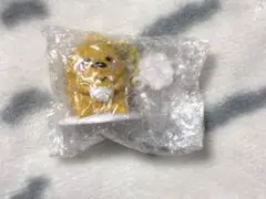 シークレットチャーム ぐでたま キャラクター大賞