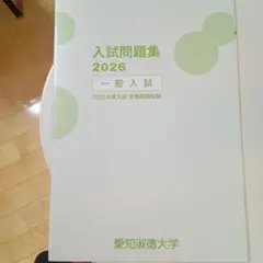 愛知淑徳大学 赤本 [最新2025年度の過去問]