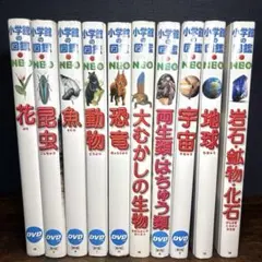【図鑑まとめ売り10冊】小学館の図鑑NEO 美品多数のサムネイル