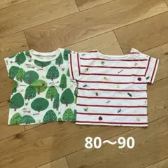 インセクトコレクション　Tシャツ2枚セットのサムネイル