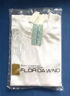 FLORIDA WIND クルーネック Tシャツ ホワイト　３L