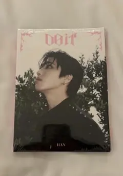 ★未開封★straykids　 Doit Accordion ハン