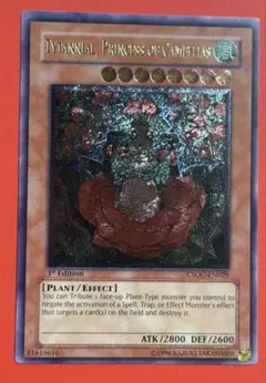 椿姫ティタニアル レリーフ 北米 英語 1st CSOC - メルカリ