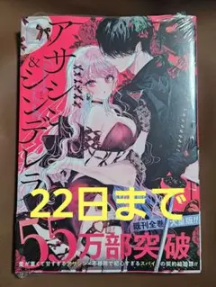 アサシン&シンデレラ(5)