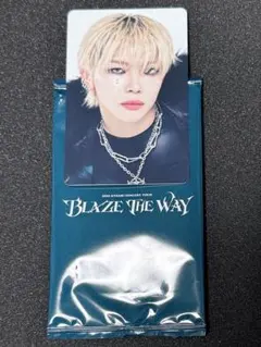 &TEAM BLAZE THE WAY トレカ NICHOLAS ニコラス