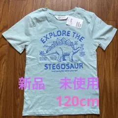 H&M 恐竜　ステゴサウルス Tシャツ 120/130 キッズのサムネイル