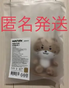 seventeen ディノ チャンダリ 20cm ディノ チャンダリ SEVENTEEN ミニムードランプ ミニティーン