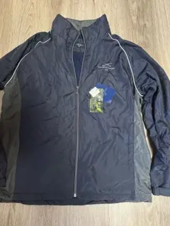 Item thumbnail for item fe66940c-1833-4f1b-a4ec-16c03029b46e