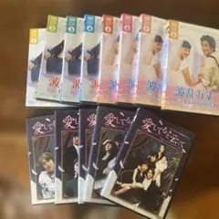 波乱万丈 Missキムの10億作りチジニ愛してると云って DVD 全巻