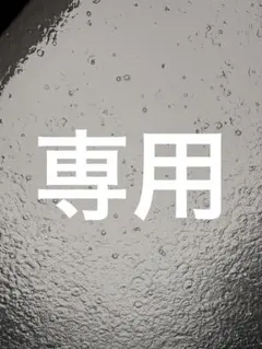 専用