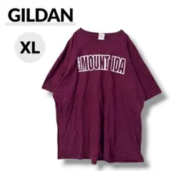 USA古着 GILDAN Tシャツ XL 赤 カレッジ ロゴ ビッグサイズのサムネイル