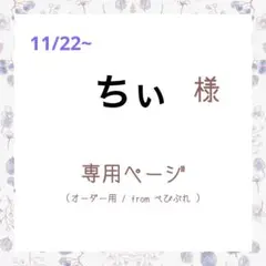 ちぃ様専用ネイルチップ