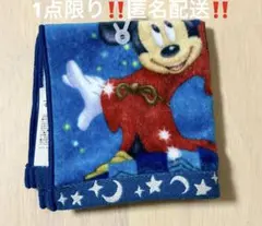ディズニーストア フラグシップ東京 ジャパンツアー 限定 ミッキー ミニタオル