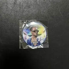 ELLY 缶バッジ 実写 ③