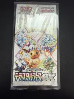 ポケモンカードゲーム テラスタルフェスEX シュリンク付きBOX