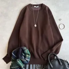 極美品▲SLOANE スローン/天竺 12Ｇダブルフェイスクルーネックニット▲茶