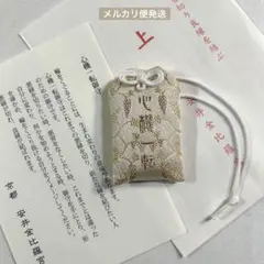 Item thumbnail for item 3a29232e-c1ff-4909-b264-5d01eaf9b08c