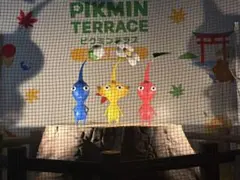 専用