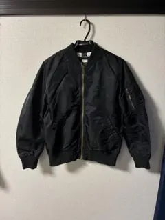 Item thumbnail for item 8a1d46b5-fe2b-48db-b331-573c1bc30dd2