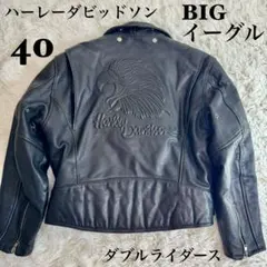 ハーレーダビッドソン スクリーミンイーグル ダブルライダース 型押し