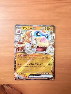 まとめ買い割引 マンムーexのサムネイル
